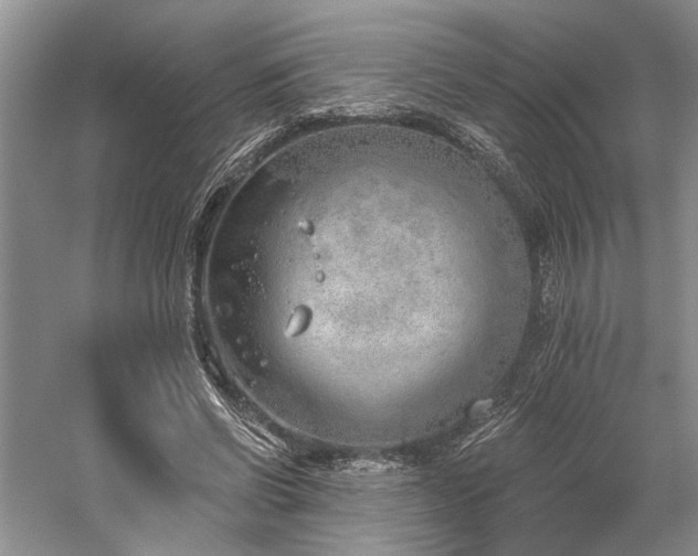 X0000059820542200510211149