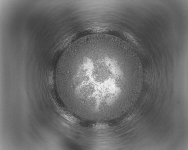 X0000059820549200510211149