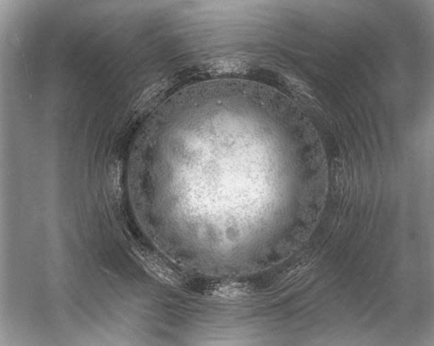 X0000059820550200510211149