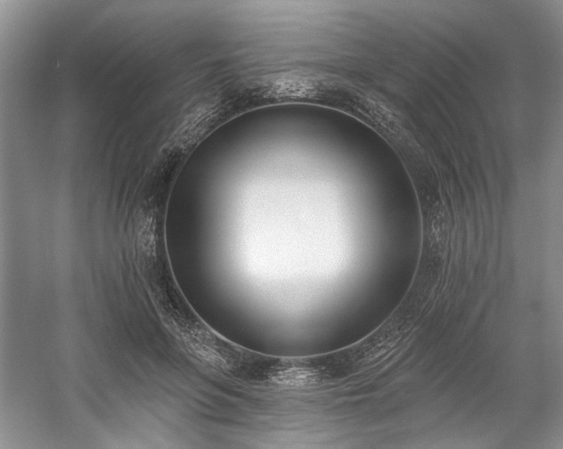 X0000059820551200510211149