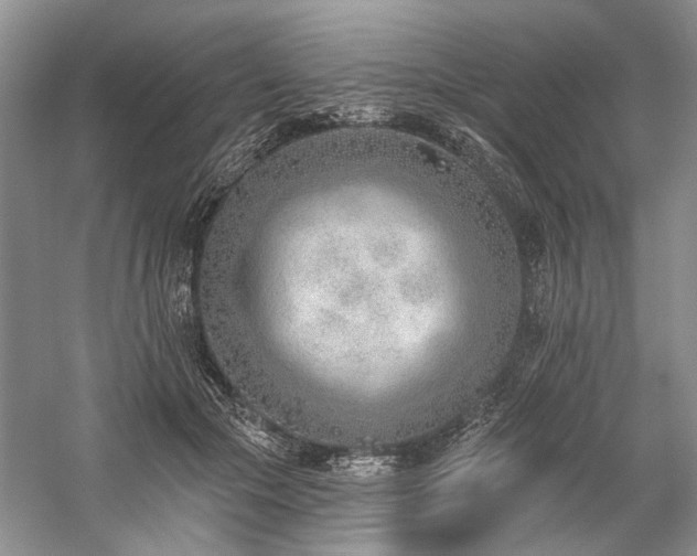 X0000059820553200510211149