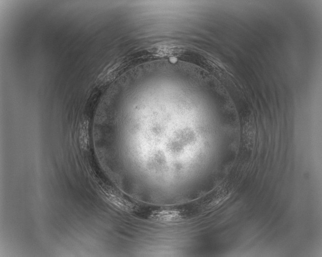 X0000059820554200510211149