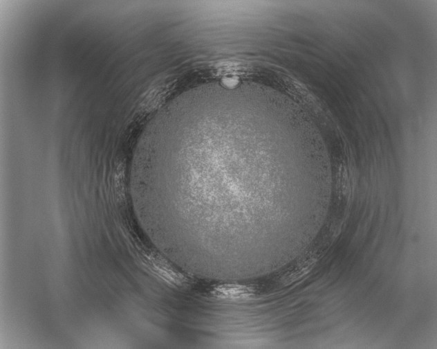 X0000059820557200510211149