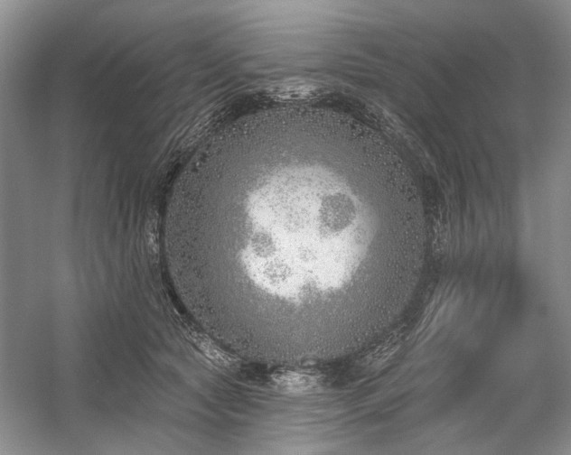 X0000059820561200510211149