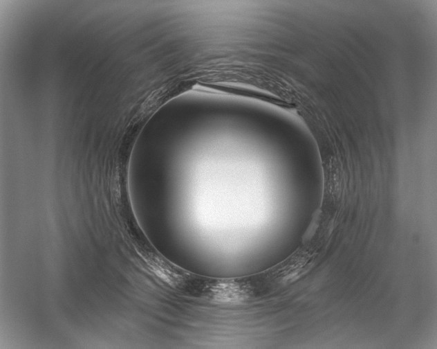 X0000059820562200510211149