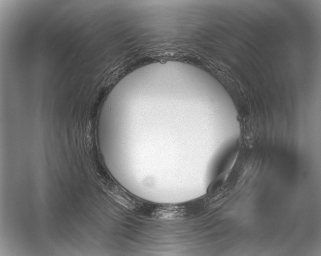 X0000059820563200510211149