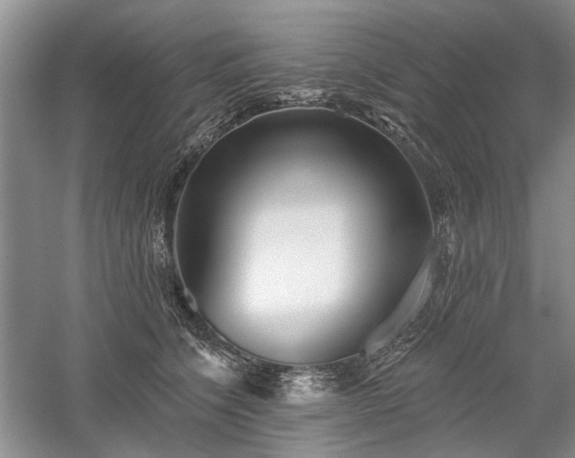 X0000059820564200510211149