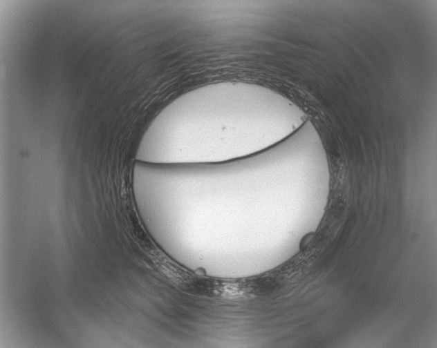 X0000059820565200510211150