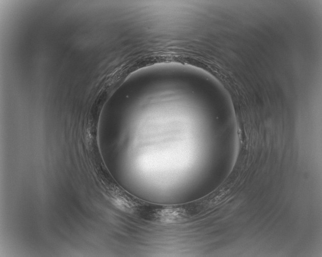 X0000059820566200510211150