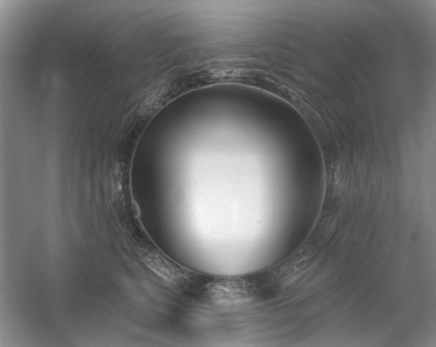 X0000059820567200510211150