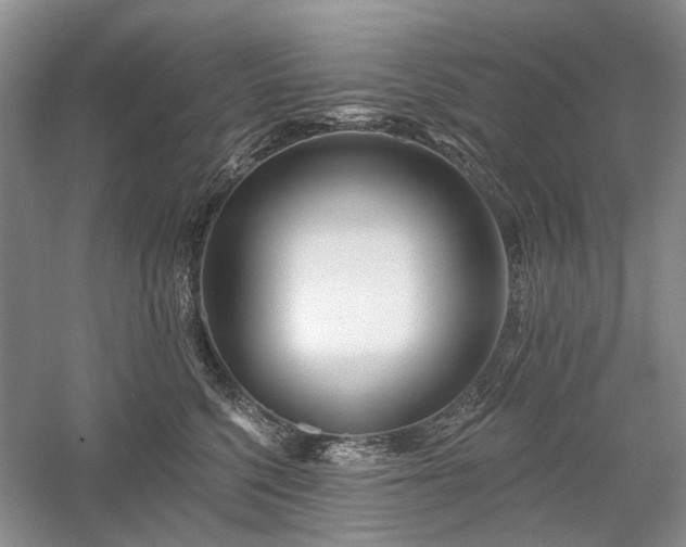 X0000059820568200510211150