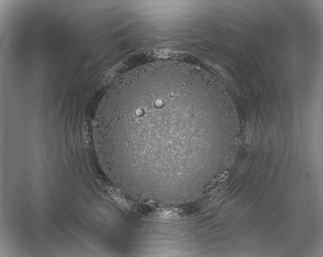 X0000059820569200510211150