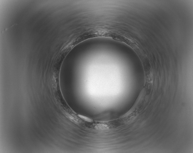 X0000059820572200510211150