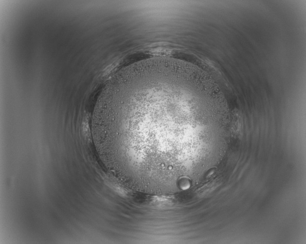 X0000059820573200510211150