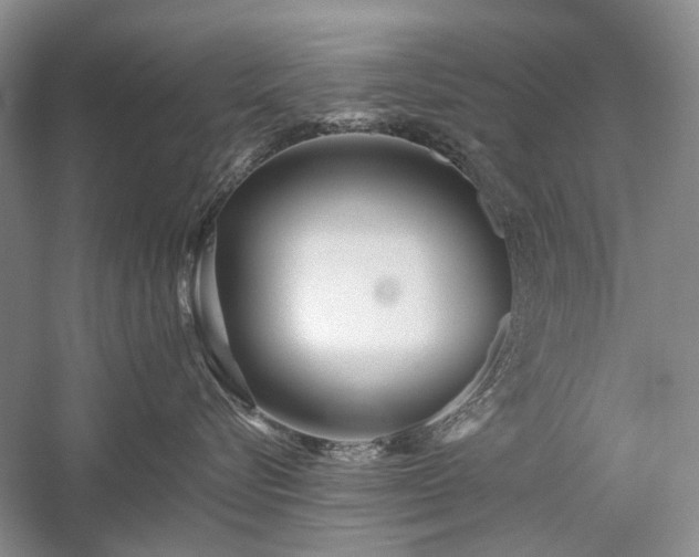 X0000059820576200510211150