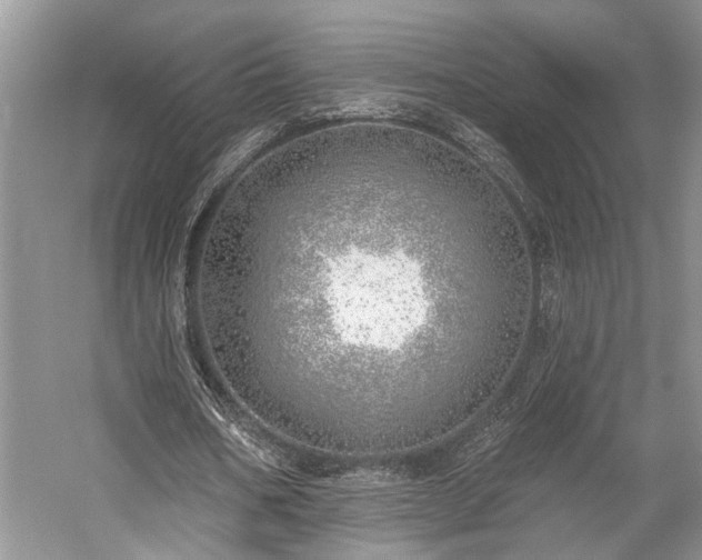 X0000059820578200510211149