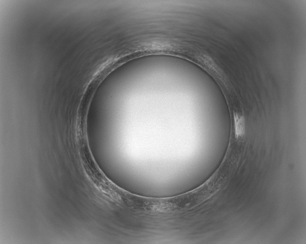 X0000059820579200510211149