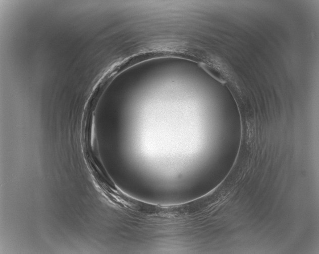 X0000059820580200510211149