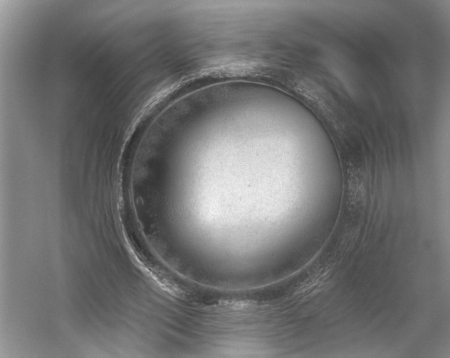 X0000059820582200510211149