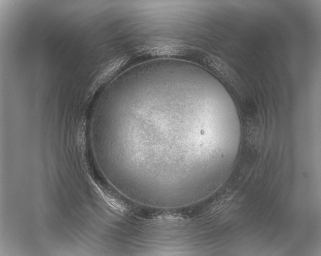 X0000059820586200510211149