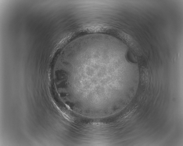 X0000059820590200510211149