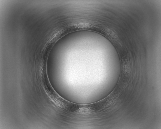 X0000059820591200510211149