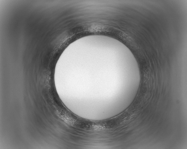 X0000059820592200510211149