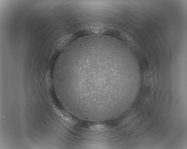 X0000059820594200510211149