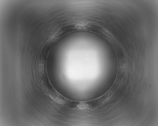 X0000059820603200510211148