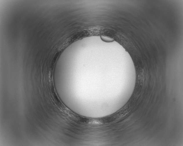 X0000059820610200510211148