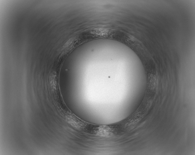 X0000059820612200510211148