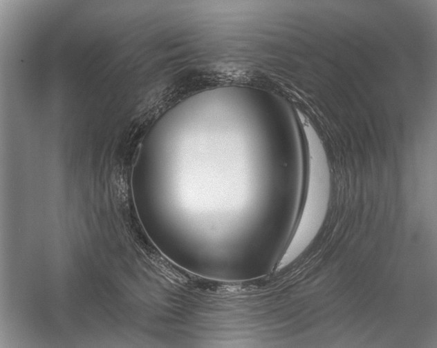 X0000059820613200510211148