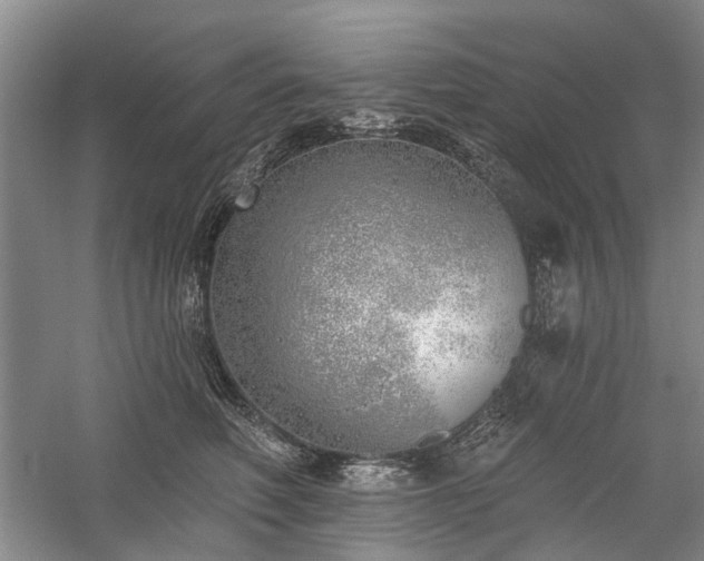 X0000059820614200510211148