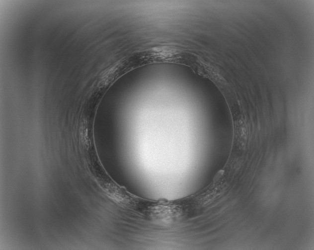 X0000059820615200510211148