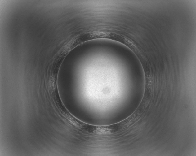 X0000059820617200510211148