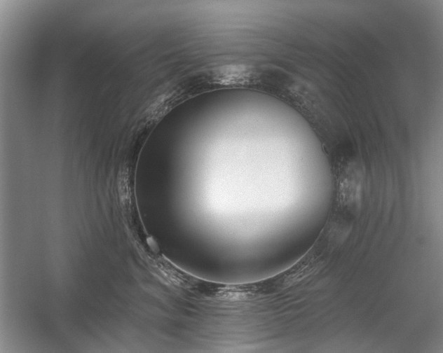 X0000059820620200510211148