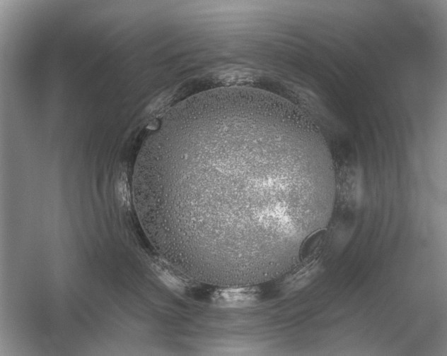 X0000059820622200510211148