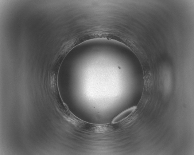 X0000059820623200510211148