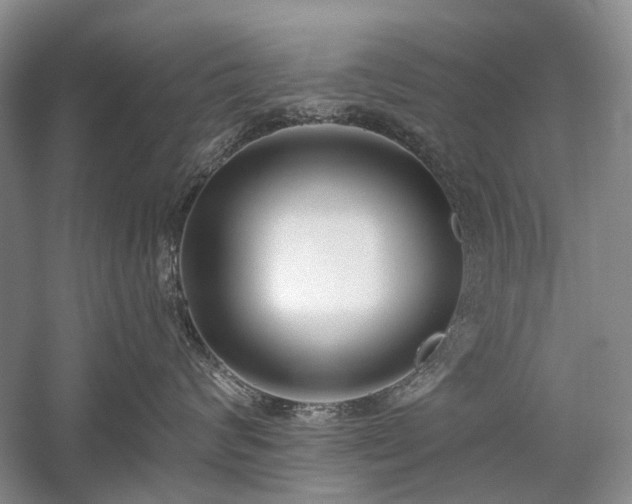 X0000059820624200510211148