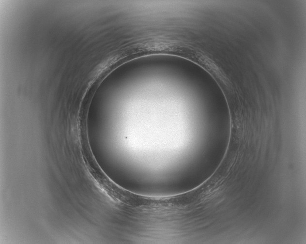 X0000059820626200510211147