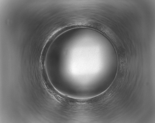 X0000059820628200510211147