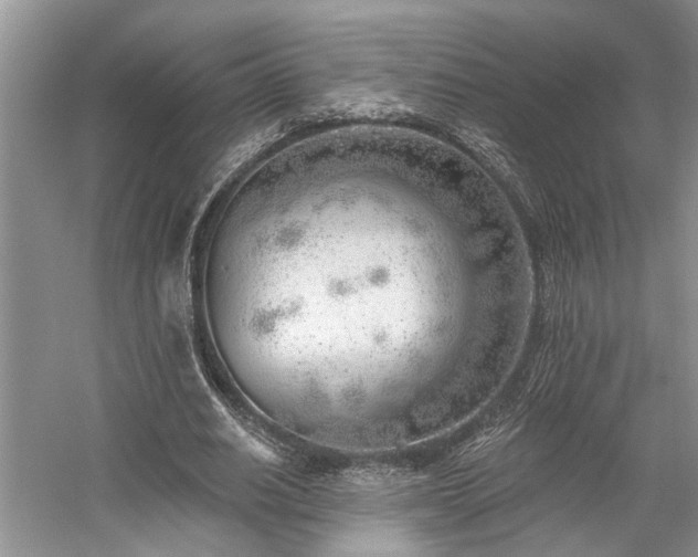 X0000059820630200510211147