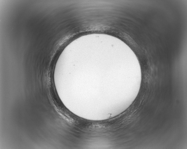 X0000059820632200510211147