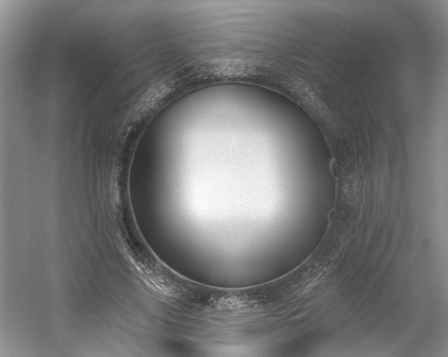 X0000059820635200510211147