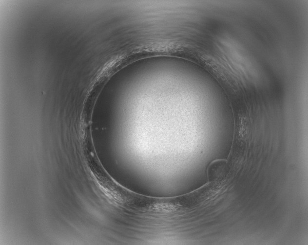 X0000059820636200510211147