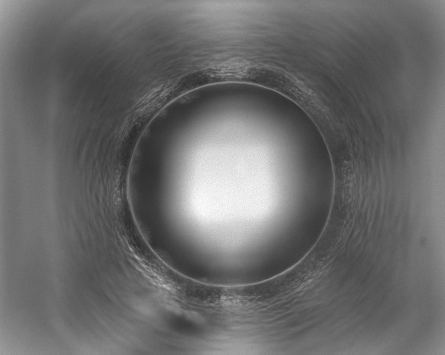 X0000059820641200510211148