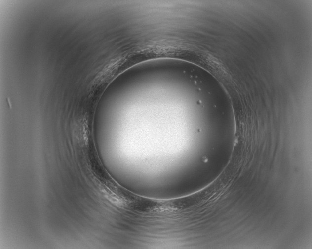 X0000059820644200510211148