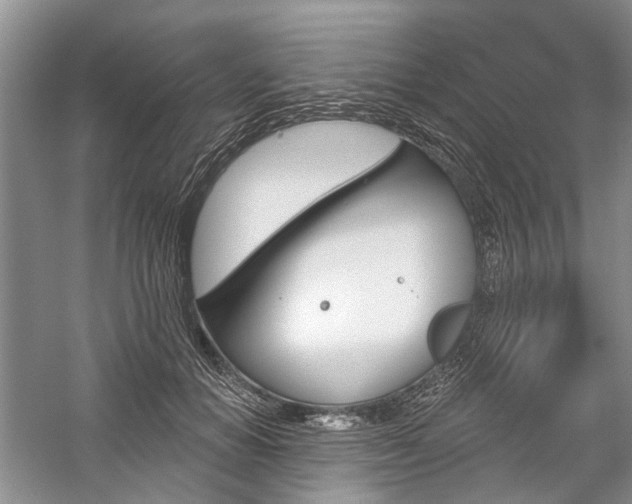 X0000059820654200510211148