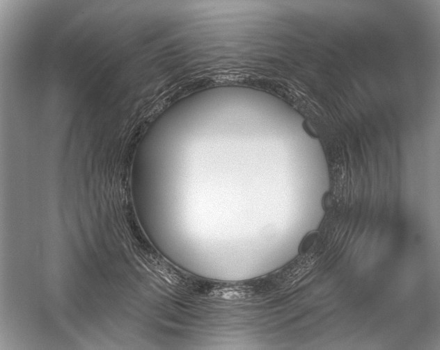 X0000059820655200510211148