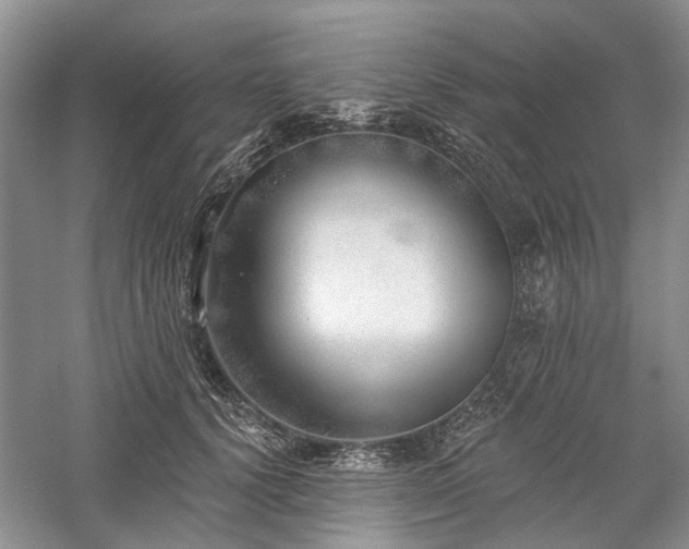 X0000059820656200510211148